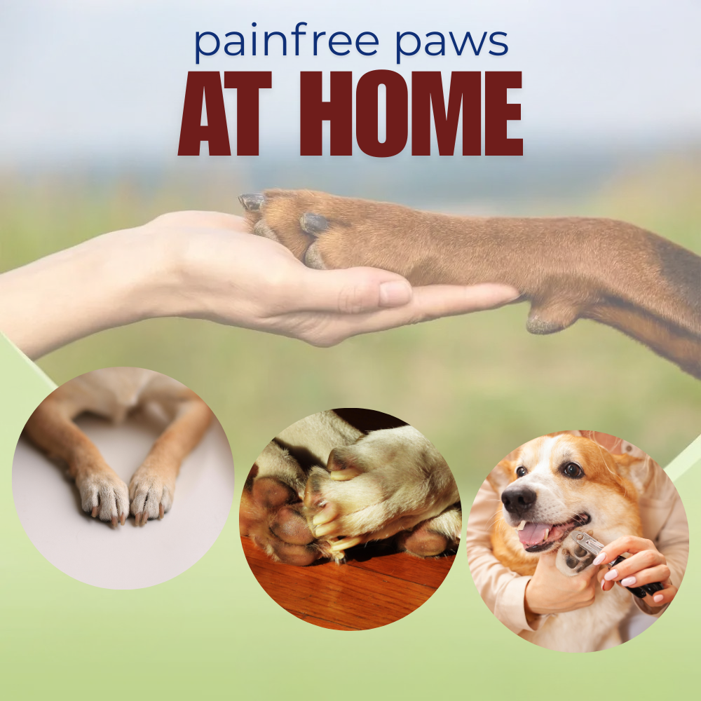 PawSnip